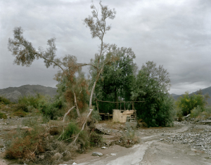 16_coachellavalley-_3c_2004