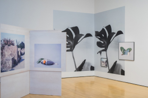 View More: http://cargocollective.pass.us/macpressconference