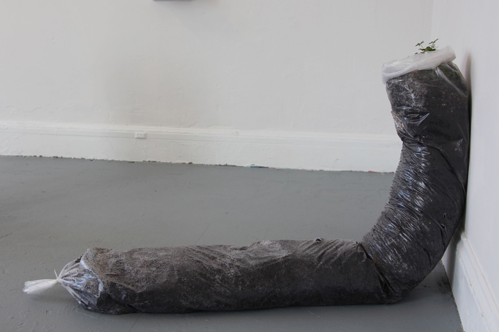 IMG_8318_crop-2000x0