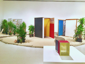 oiticica-tropicalia-2