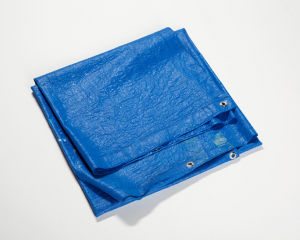 TARP16-001a copy