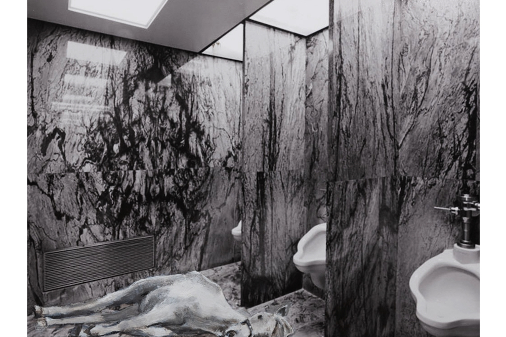 Shannon Bool Traces the Women of Algiers