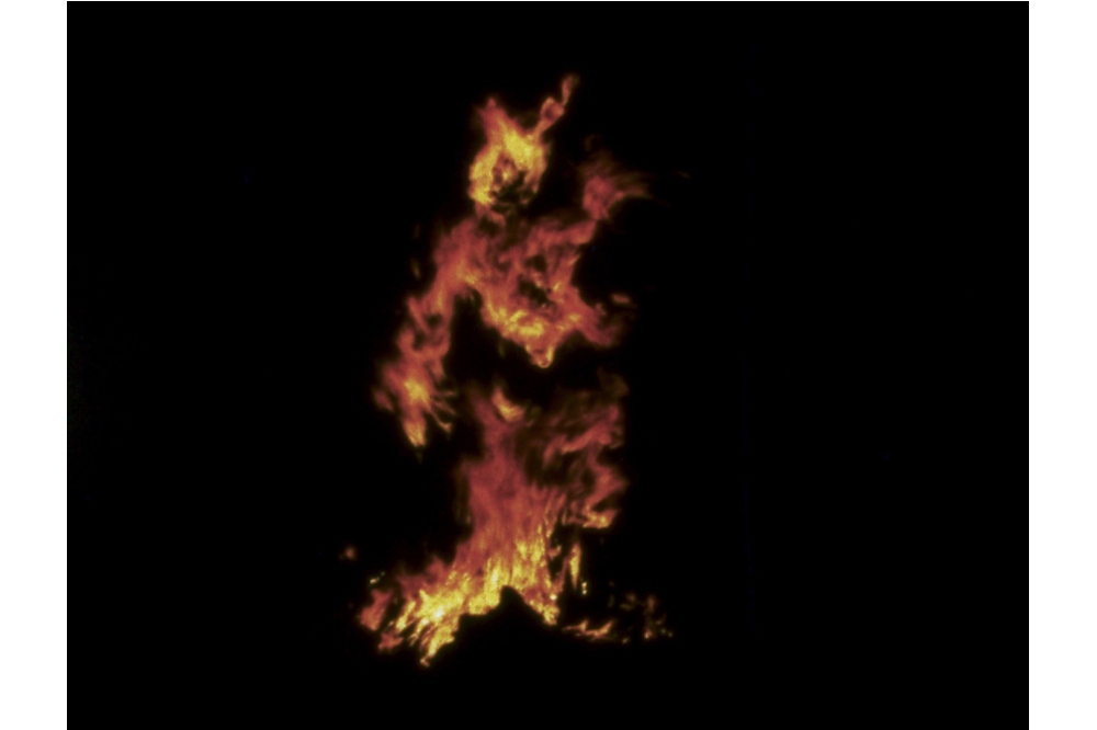 Ana Mendieta’s Death is Not a Metaphor