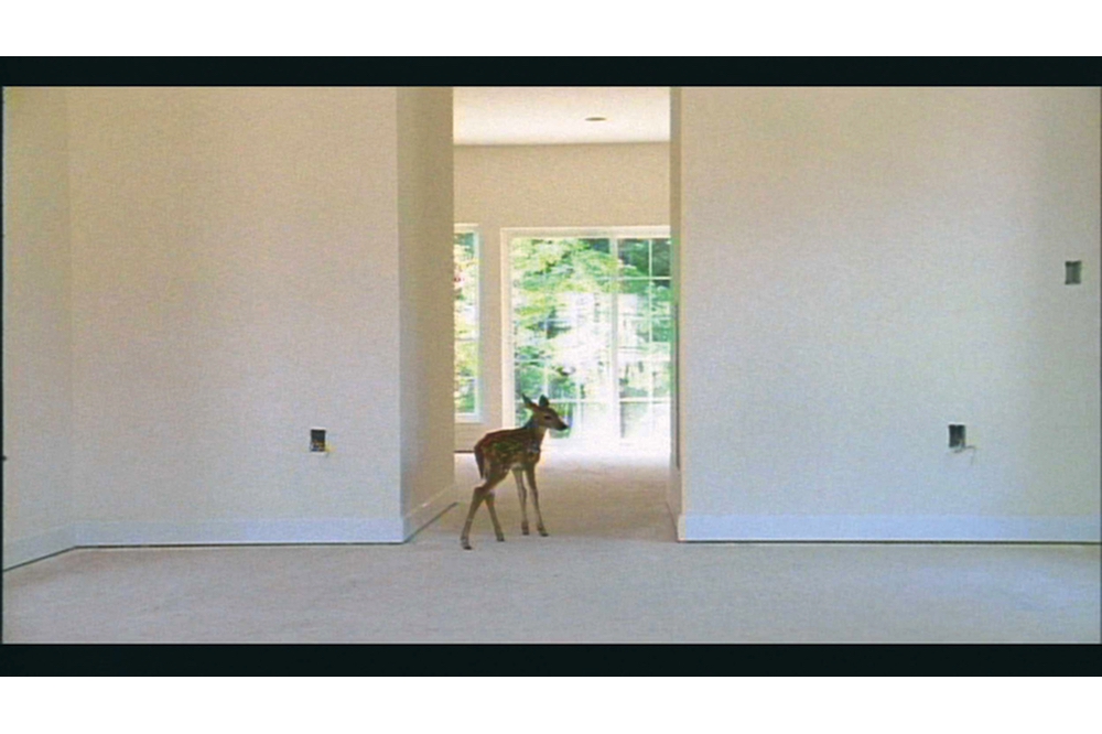 Sanded Edges: Pierre Huyghe Turns Polite at the Serpentine