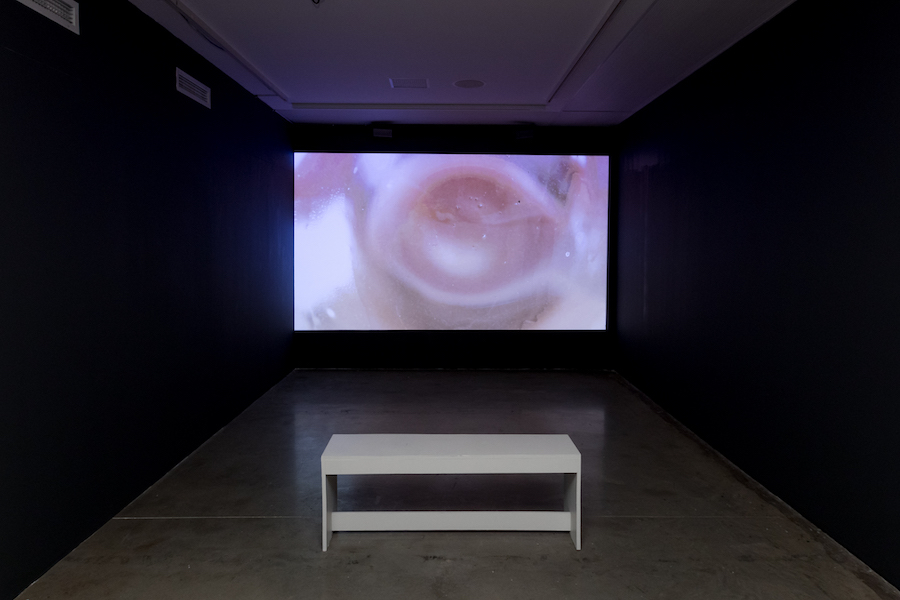 SaagDoc_00064-1-2000x0