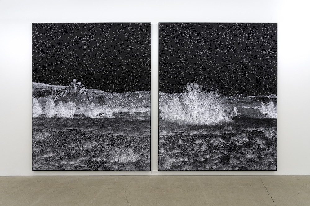 Looking Out from Looking In: Geneviève Cadieux Shifts From the Polemic to the Poetic