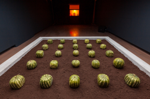 16IB_1000_MaxHooperSchneider_SahirUgurEren