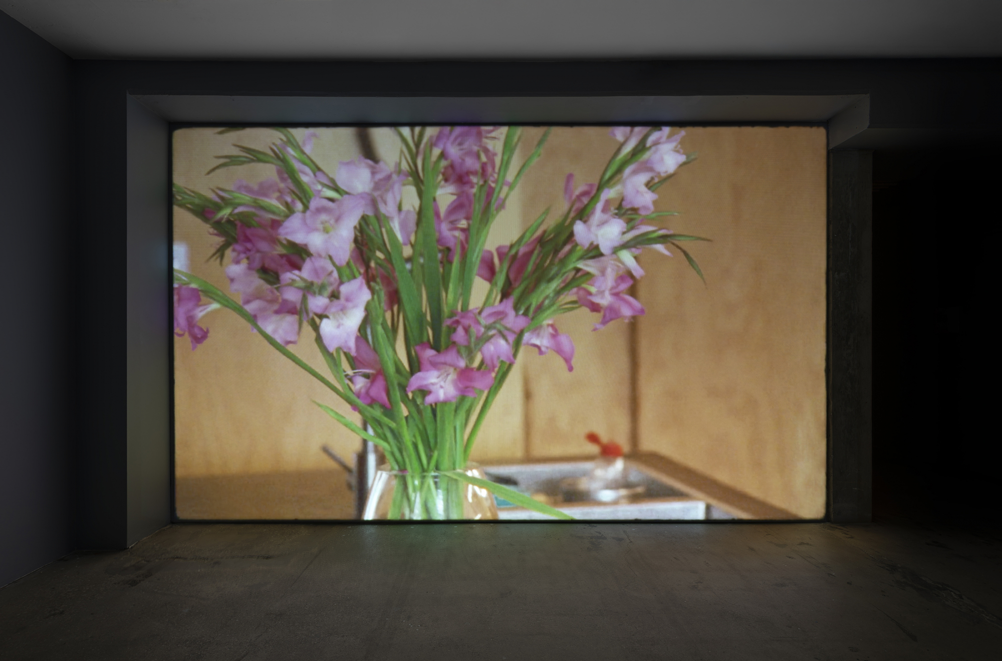 SI-Holman-03-WEB-2000x0